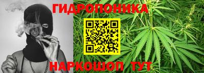 индика Волжский